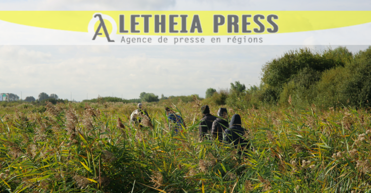 En 2022, les tentatives de traversées de la Manche atteignent 65 000. (© Aletheia Press / M.Railane)